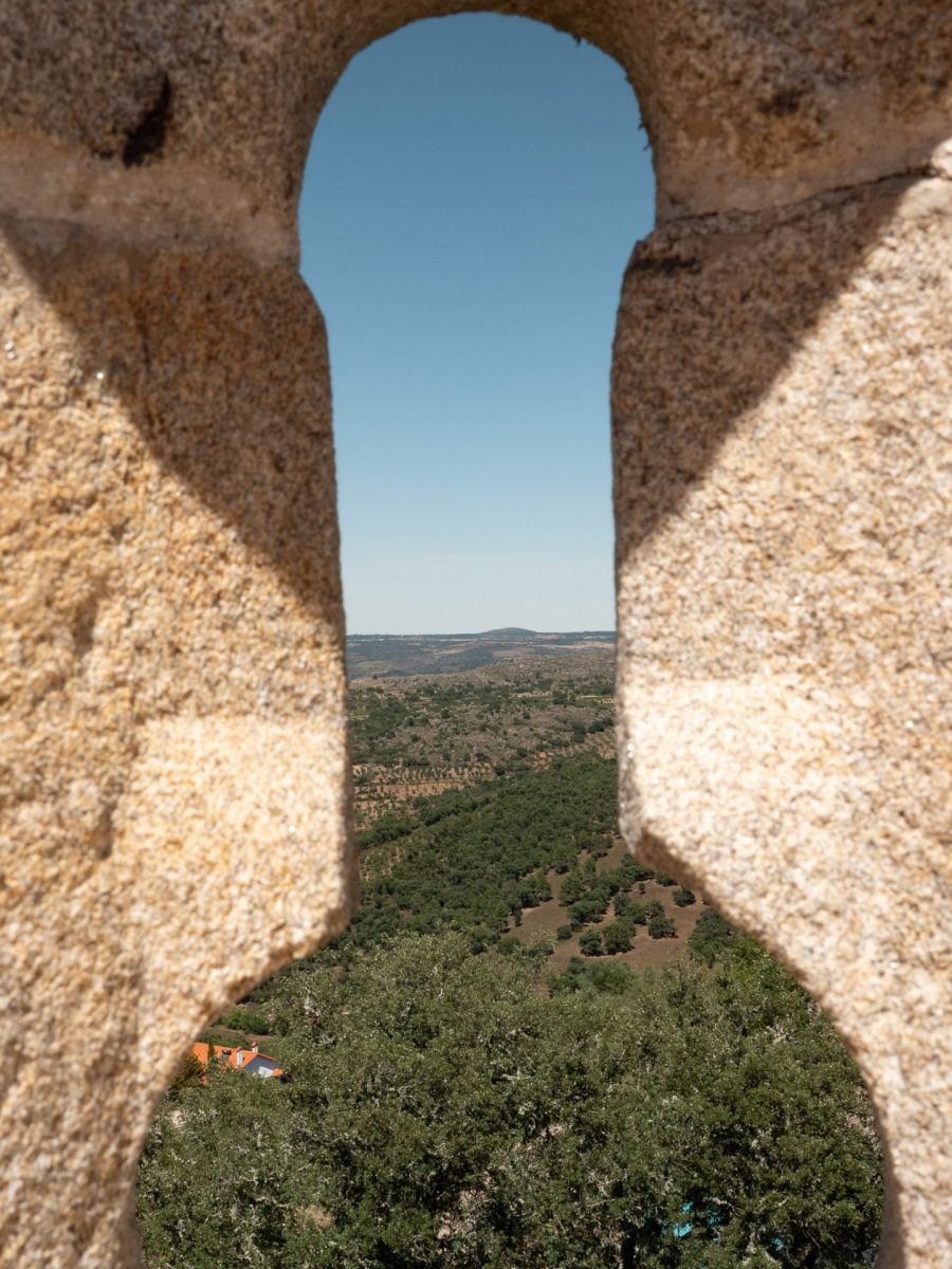 P1003597